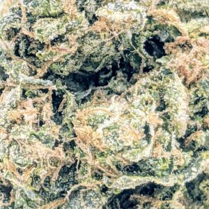 Stardawg strain buy weed online cheap weed online dispensary mail order marijuana