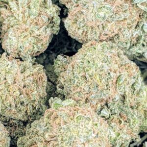 Sugar Baby strain buy weed online cheap weed online dispensary mail order marijuana