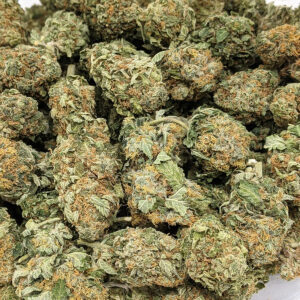 Tropicana Cookies strain buy weed online cheap weed online dispensary mail order marijuana