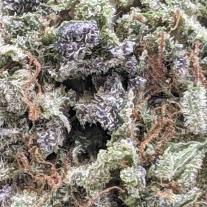 El Jefe strain buy weed online cheap weed online dispensary mail order marijuana