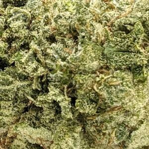 Garlic Breath strain buy weed online cheap weed online dispensary mail order marijuana