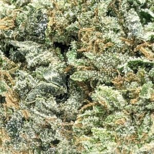 Gas Mask strain buy weed online cheap weed online dispensary mail order marijuana